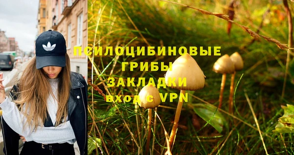 гидра Алексин