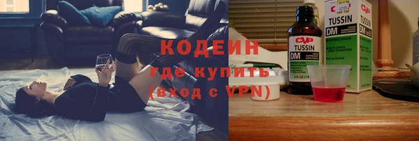 стаф Новозыбков