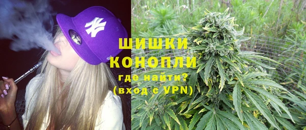 стаф Новодвинск