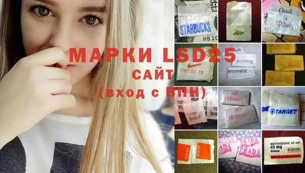 стаф Новозыбков