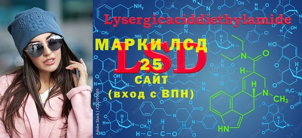 стаф Новодвинск