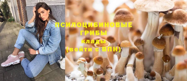 марки lsd Алзамай